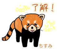 773745520