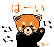 773745681