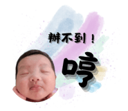 773753808