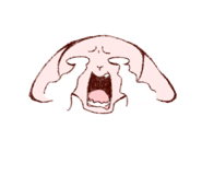 773758245