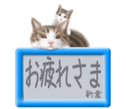 773760515