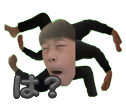 773769981