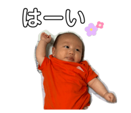 773773129