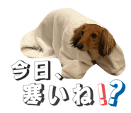 773773268