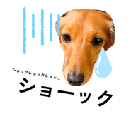 773773269