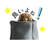 773773276