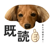 773773279