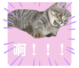 773773700