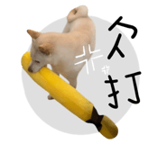 773774397