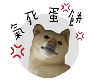 773774401