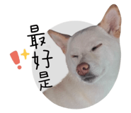 773774406