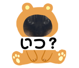 773777405