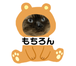 773777406