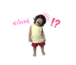 773778206