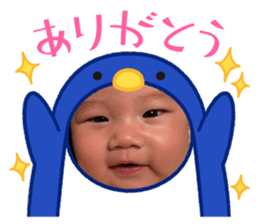 773781076