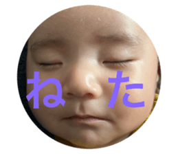 773782002