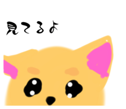 773782755