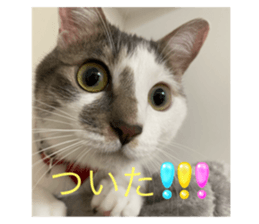 773783170