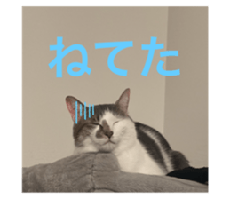773783174