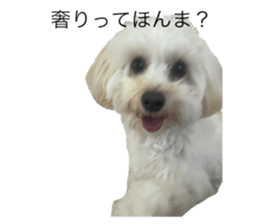 773784569