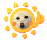 773785185