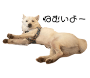773785188