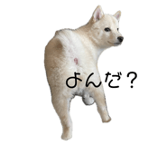 773785190