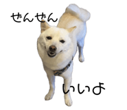773785196