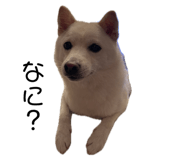 773785198