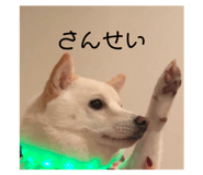 773785199