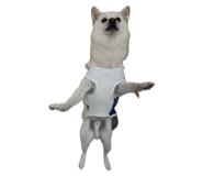 773785200