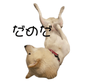 773785207