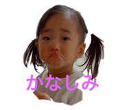 773785337