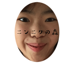 773788313