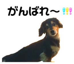 773788802