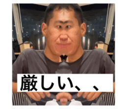 773790118