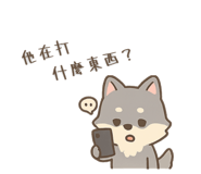 773791667