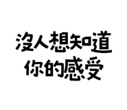 773791953