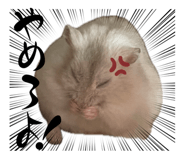 773792626
