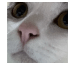 773794612