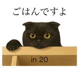 773795602