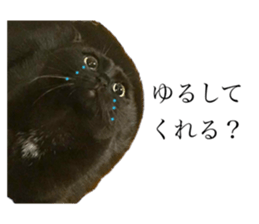 773795610
