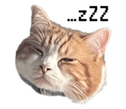 773796151