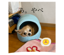 773796538