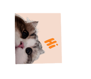 773797697