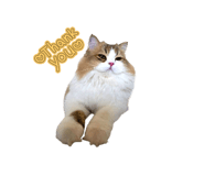 773797703
