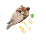 773797712
