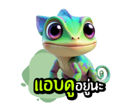 773797716