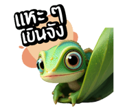 773797720