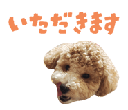 773800025